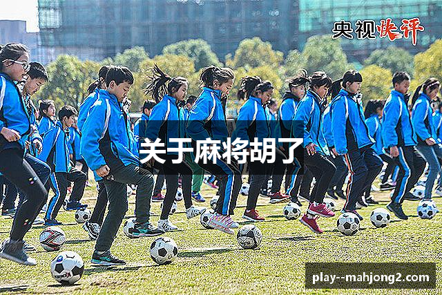 关于麻将胡了
